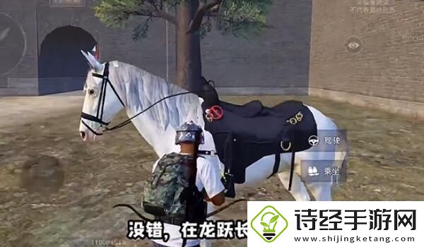 和平精英在哪骑马-骑马位置一览康乐资讯