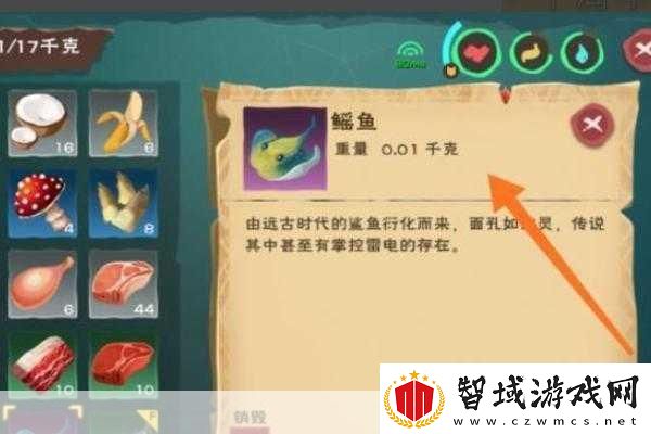 探索创造与魔法天空鳐的神秘栖息地
