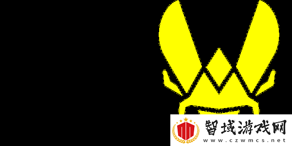 kassad谈Virtus.pro