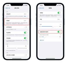 iPhone旁白声音如何开启