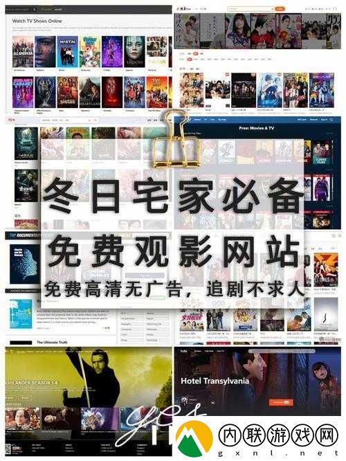 免费网站在线观看人数在哪网站：详细解析