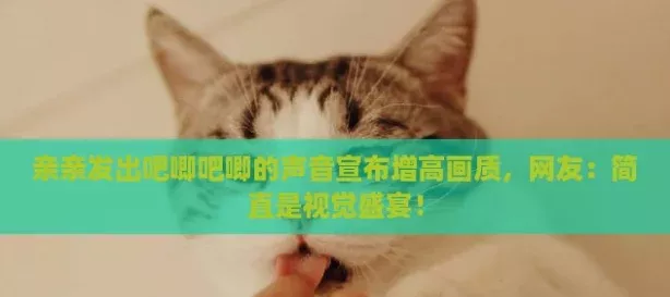 亲亲发出吧唧吧唧的声音宣布增高画质-友：简直是视觉盛宴！