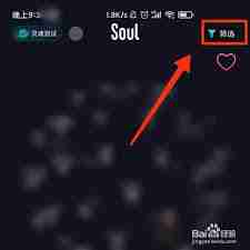 soul如何筛选性别