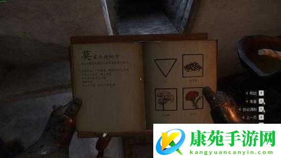 天国拯救健胃药剂全解析-探索胃药的非凡疗效