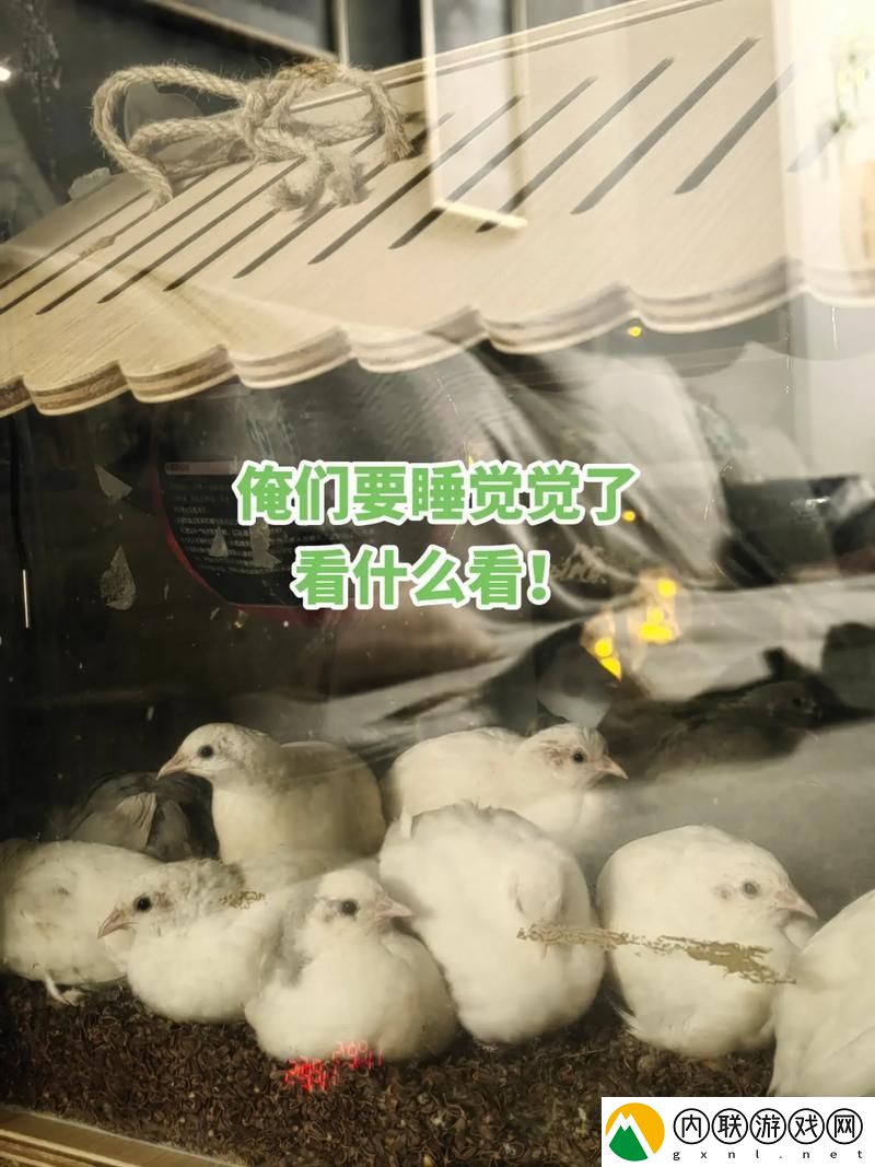 睡觉握雏鸡一晚-科技界炸了！