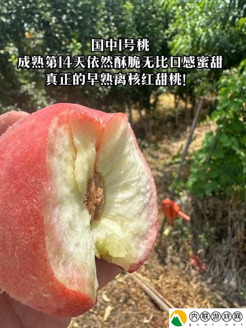 红桃国产：引领行业新发展