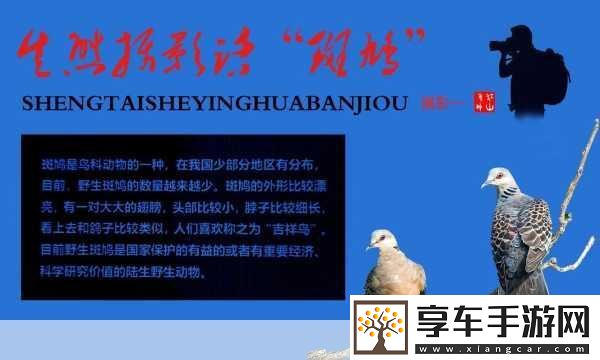 人与畜禽共性关系-1.-＂探索人与畜禽和谐共生的生态智慧