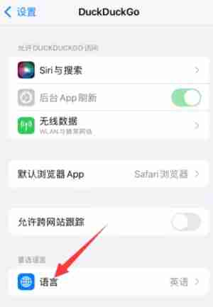 duckduckgo怎么设置中文