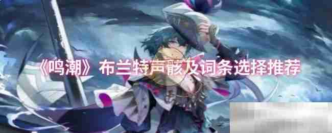 《鸣潮》布兰特声骸及词条选择推荐