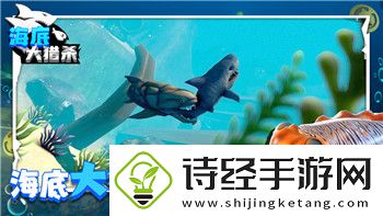 上古卷轴5-蒸馏器代码详解：揭开隐藏功能与游戏深度的奥秘