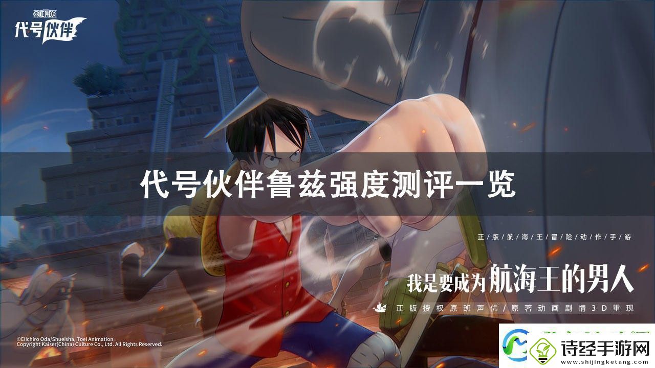 代号伙伴鲁兹强度测评分享