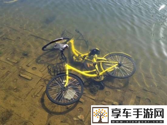 共享单车被丢河里每月可捞数百辆-捞一辆需要6个人
